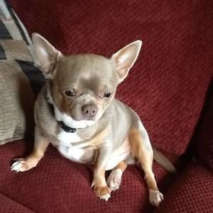 Meet your Posher, Tina